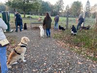 Besuch Tierpark Sababurg